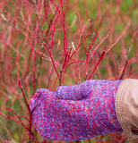 Gulla mitten pattern