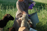 Milkmaid mitts pattern